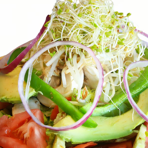 Close-up of a fresh salad with sprouts, red onion, avocado, green peppers, and tomatoes.