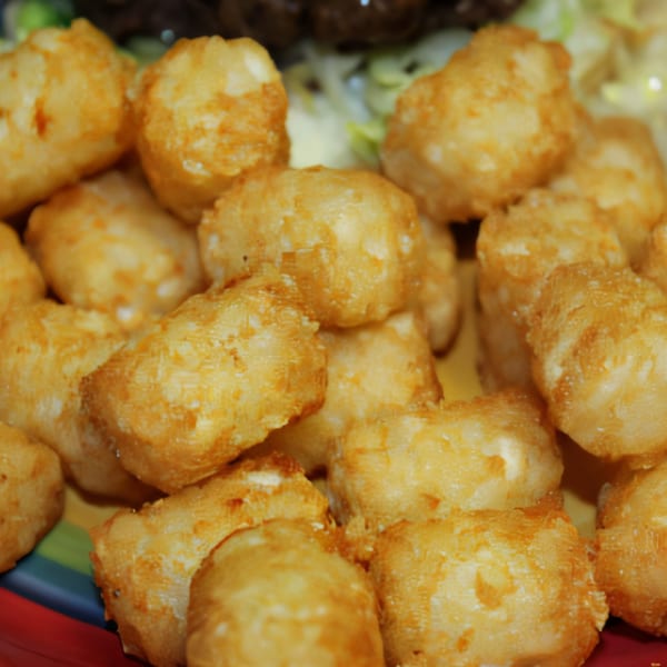 Close-up of golden-brown, crispy tater tots on a colorful plate at Abby Lane Gourmet Burgers.