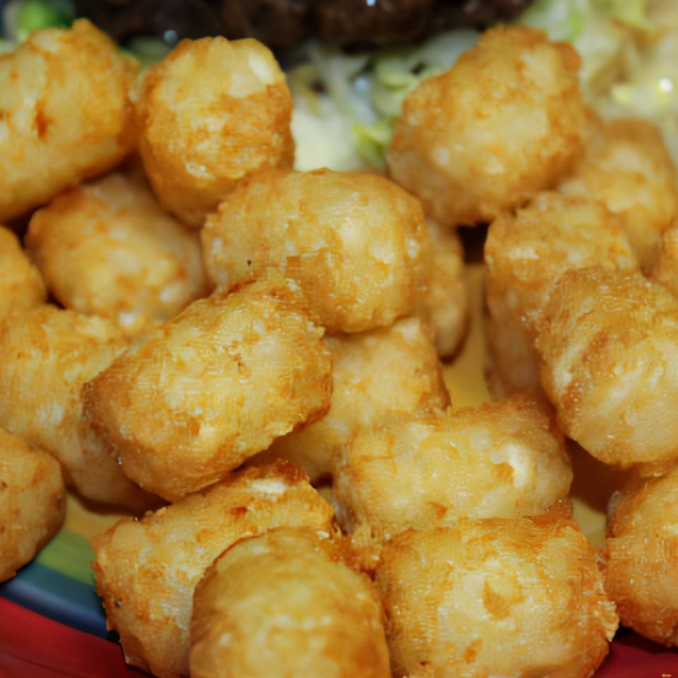 Close-up of golden-brown, crispy tater tots on a colorful plate at Abby Lane Gourmet Burgers.